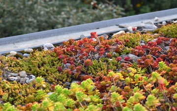 the cost of Manor House green roof installation