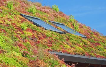 Manor House living roof systems